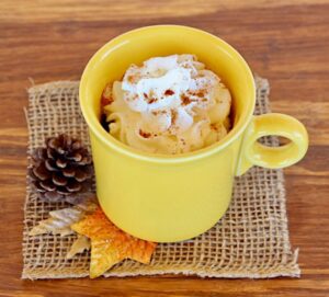 Easy Spice Mug Cake Recipe