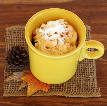 easy spice mug cake