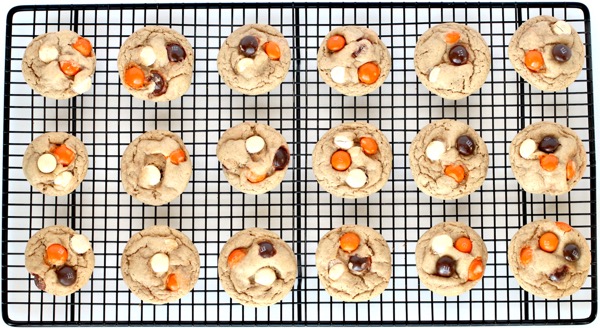 Pumpkin Spice Latte Cookies Recipes