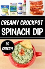 Crockpot Spinach Dip Recipe Creamy