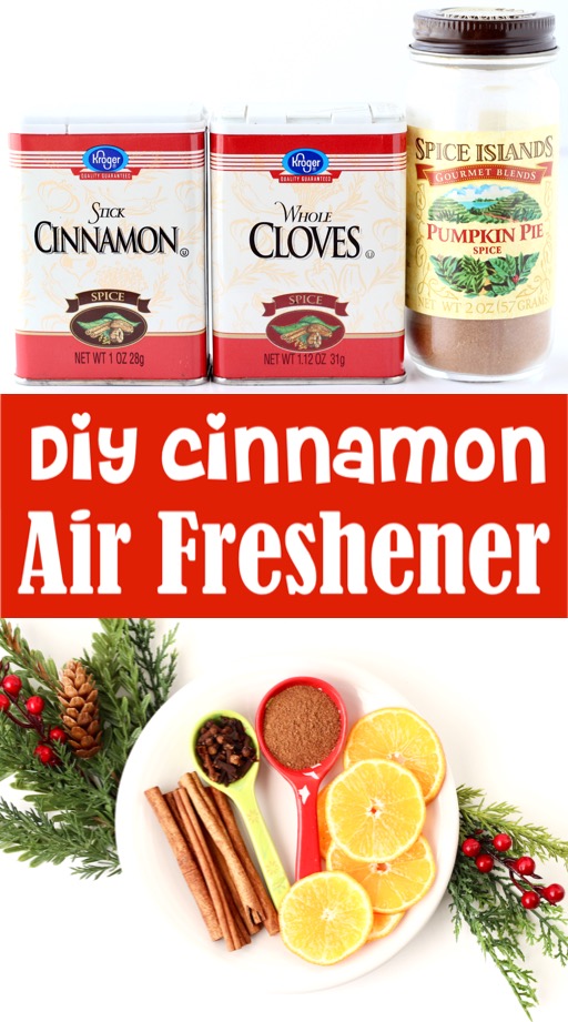 DIY Air Freshener Stovetop Fall and Christmas Room Scent