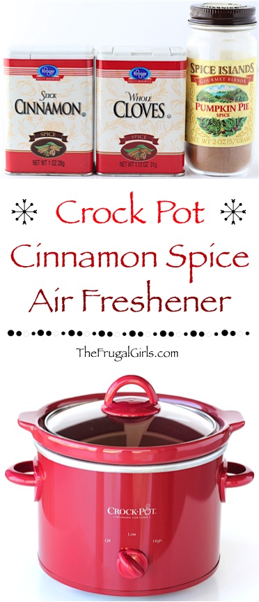 DIY Cinnamon Air Freshener at TheFrugalGirls.com