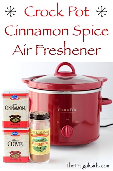 DIY Cinnamon Air Freshener from TheFrugalGirls.com