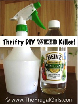 Easy Homemade Weed Killer! {Frugal Gardening Tip} - The Frugal Girls