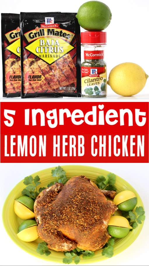 Crockpot Lemon Chicken Recipes - Easy Healthy Citrus Herb Chicken Recipe
