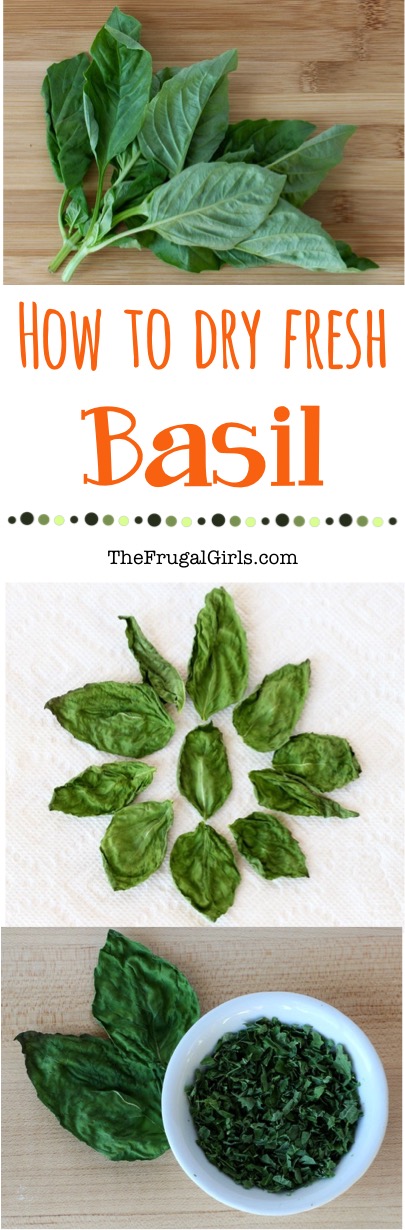 How to Dry Fresh Basil Tip from TheFrugalGirls.com