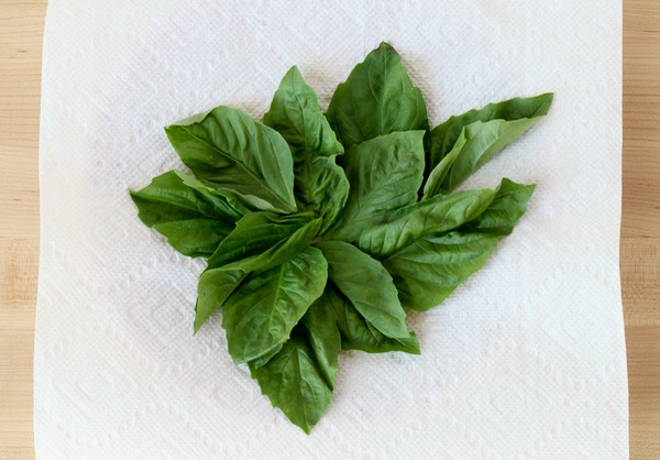 How to Dry Fresh Basil from TheFrugalGirls.com