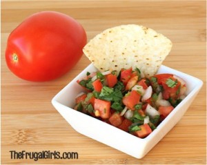 Easy Salsa Recipes! {7 Amazing Recipes} from TheFrugalGirls.com
