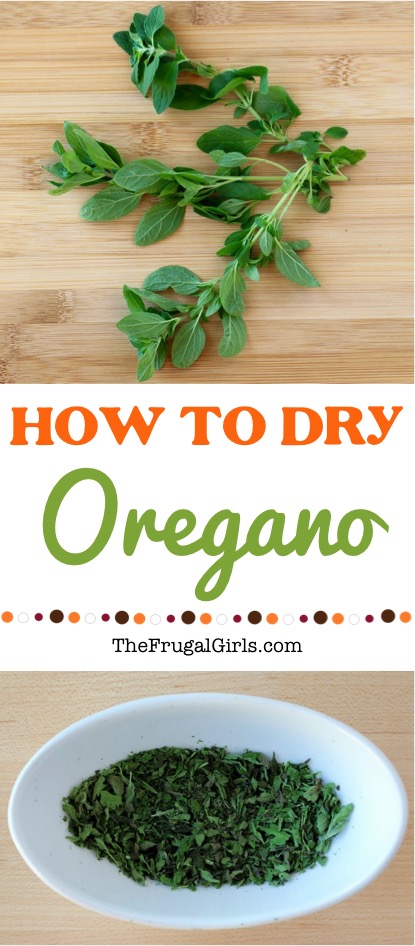 How to Dry Oregano Fresh Herbs - Tip from TheFrugalGirls.com