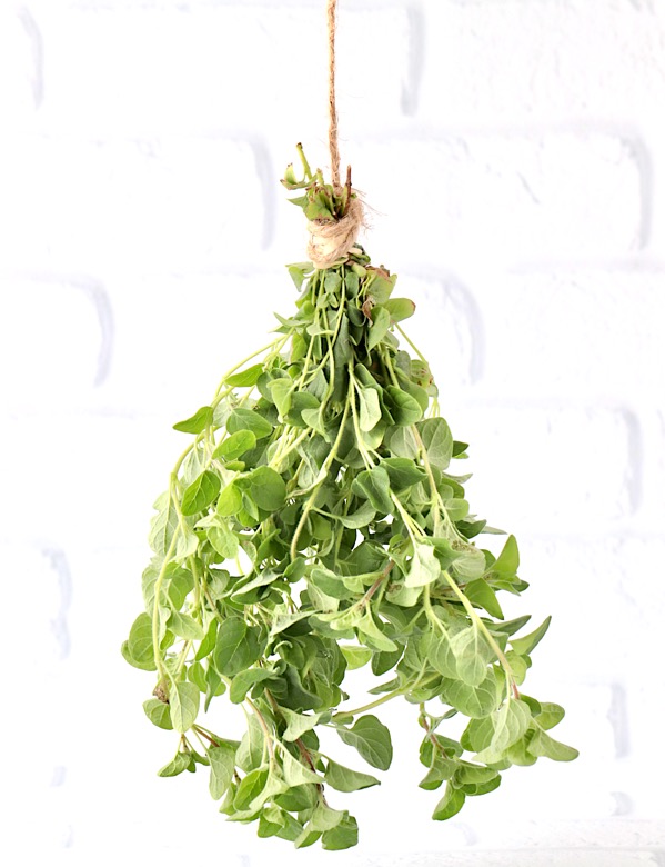 How to Dry Oregano Leaves Naturally