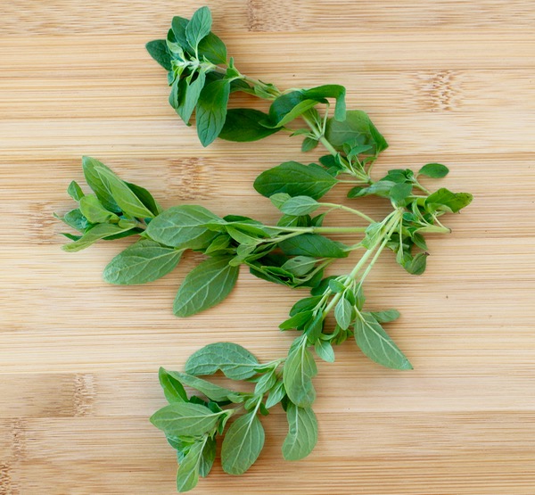 How to Dry Oregano - Tip from TheFrugalGirls.com