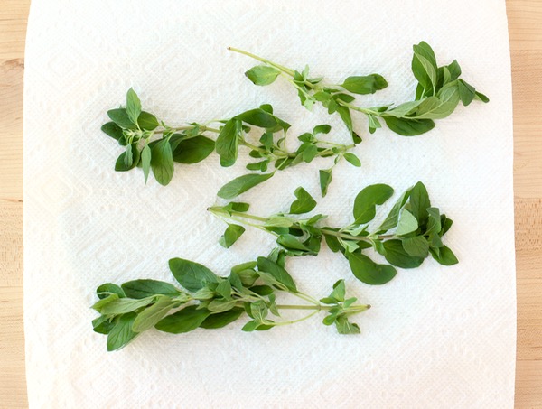 How to Dry Oregano from Garden - Tip from TheFrugalGirls.com