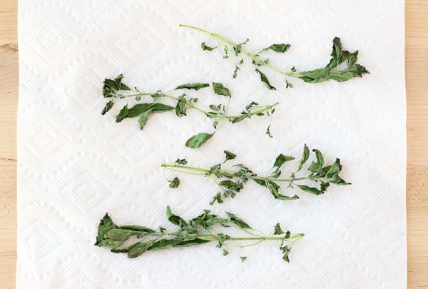How to Harvest Oregano Leaves - Tip from TheFrugalGirls.com