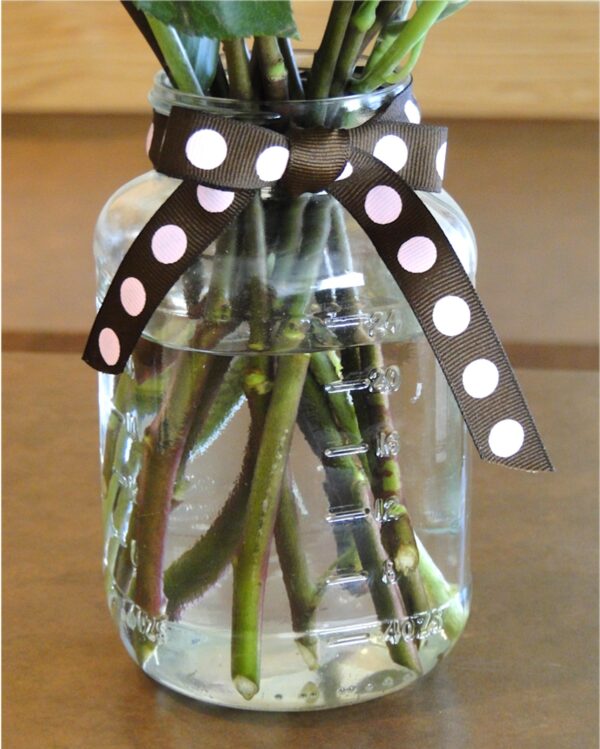 Mason Jar with water and flower stems inside.