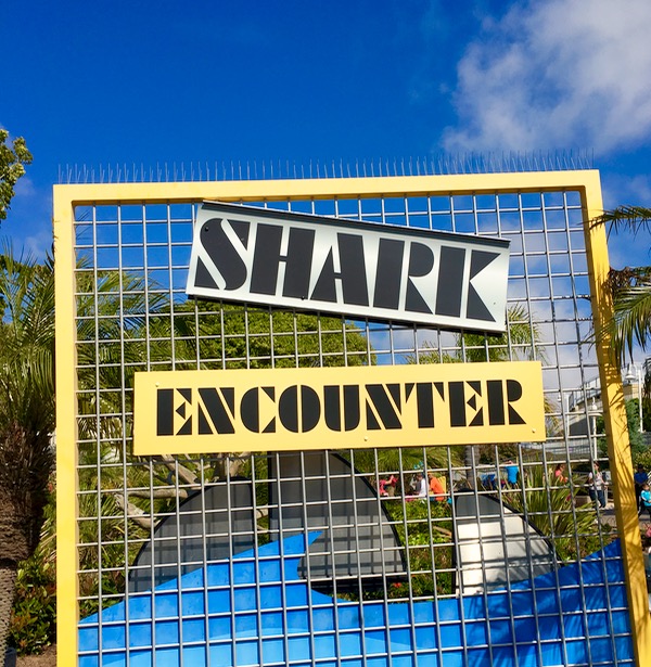 SeaWorld Shark Encounter