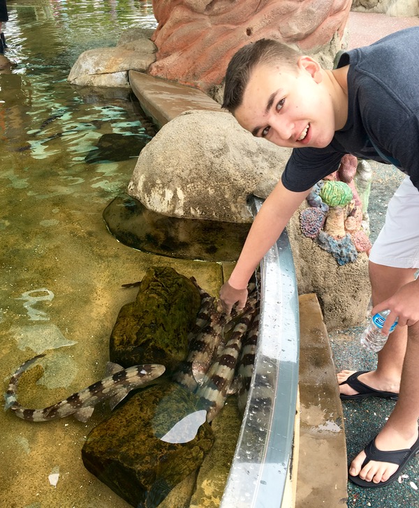 SeaWorld Touch Pools