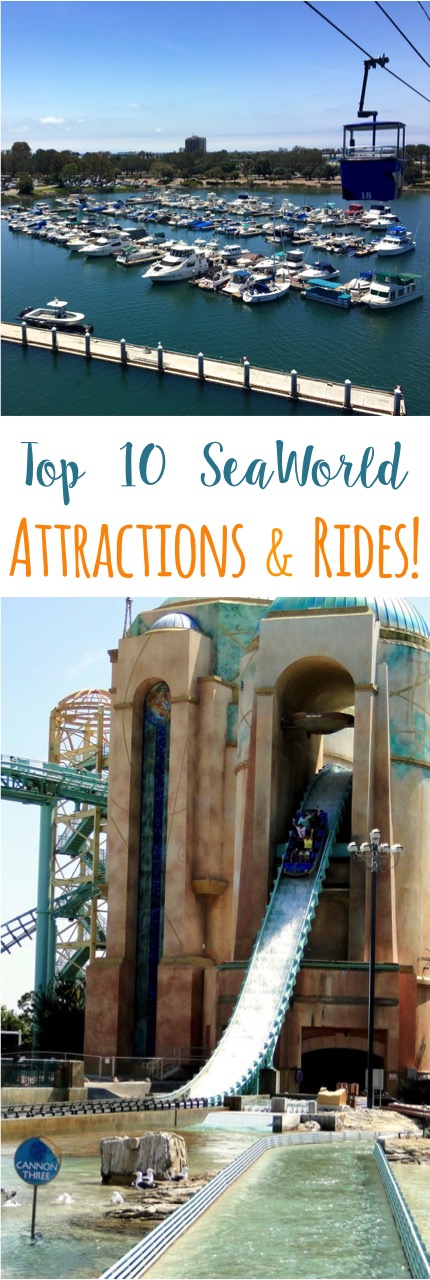 Top 10 SeaWorld Attractions and Rides