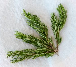 Drying Fresh Rosemary in 90 Seconds! - The Frugal Girls