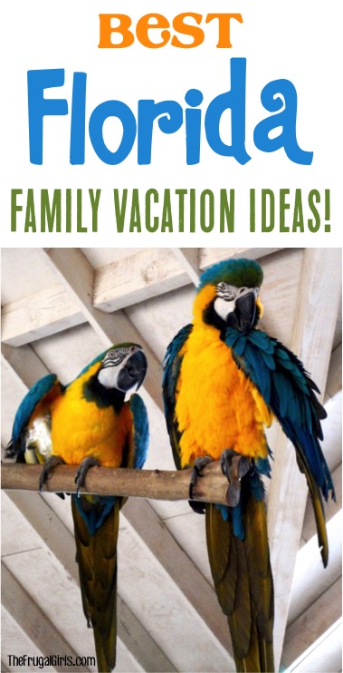 Best Florida Family Vacation Ideas from TheFrugalGirls.com