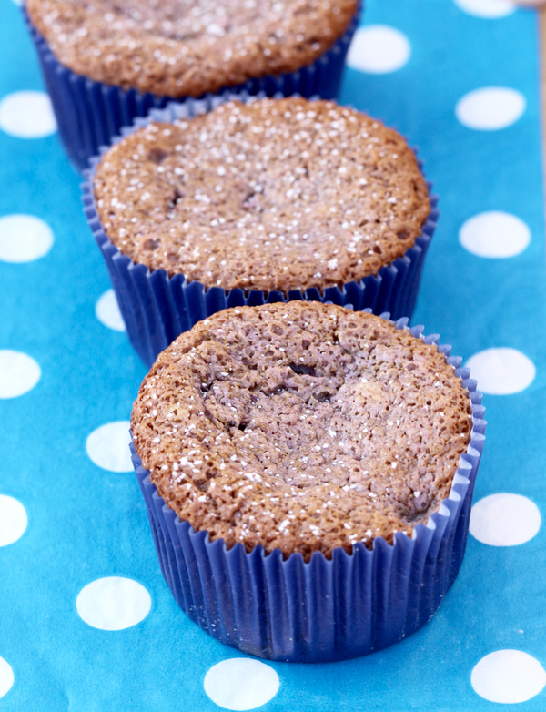 2 Ingredient Blueberry Angel Food Cupcakes Recipe at TheFrugalGirls.com