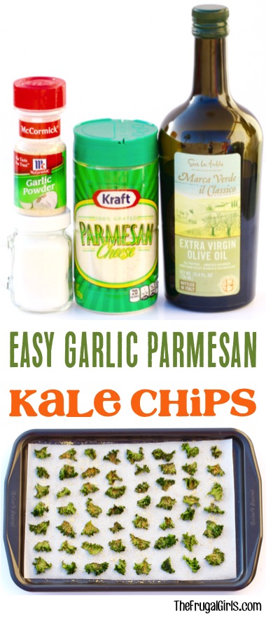 Easy Garlic Parmesan Kale Chips Recipe from TheFrugalGirls.com