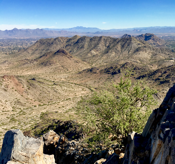 Where to Stay in Phoenix and Best Hikes at TheFrugalGirls.com