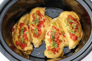 Queso chicken with tomatoes and green chiles.