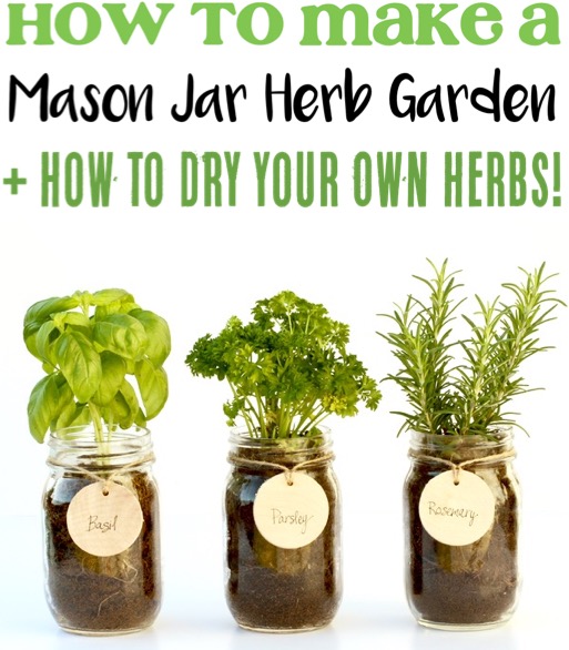 Indoor Herb Garden DIY Ideas for Beginners Windowsill Gardens for Herbs