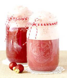 Christmas Party Punch Recipes