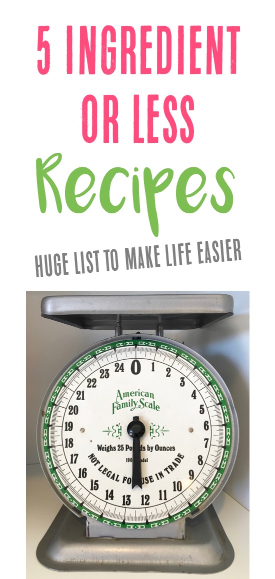 5 Ingredient or Less Recipes | TheFrugalGirls.com