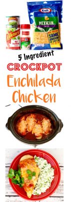 Crockpot Enchilada Chicken Recipe! (5 Ingredients) - The Frugal Girls
