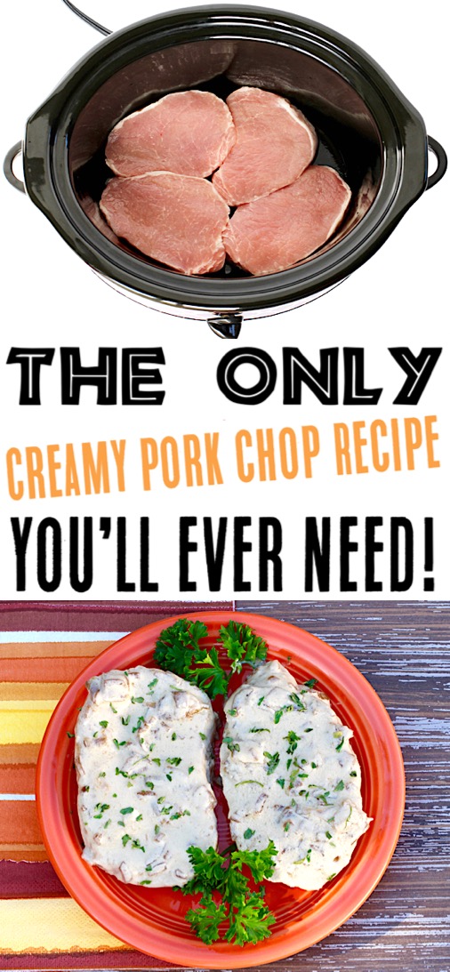 Crockpot Pork Chops Recipes | Easy 3 Ingredients French Onion Slow Cooker Pork Chop Recipe