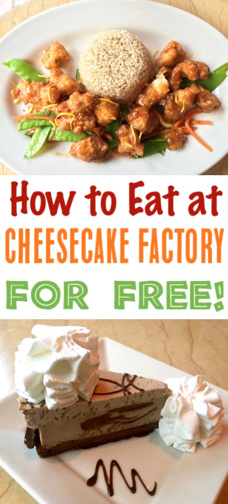 Skip the Cheesecake Factory Copycat Recipes and enjoy the real thing for FREE