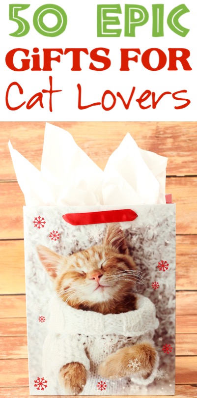 Cat Gifts for People Fun DIY Gift Basket Ideas for Cat Lovers