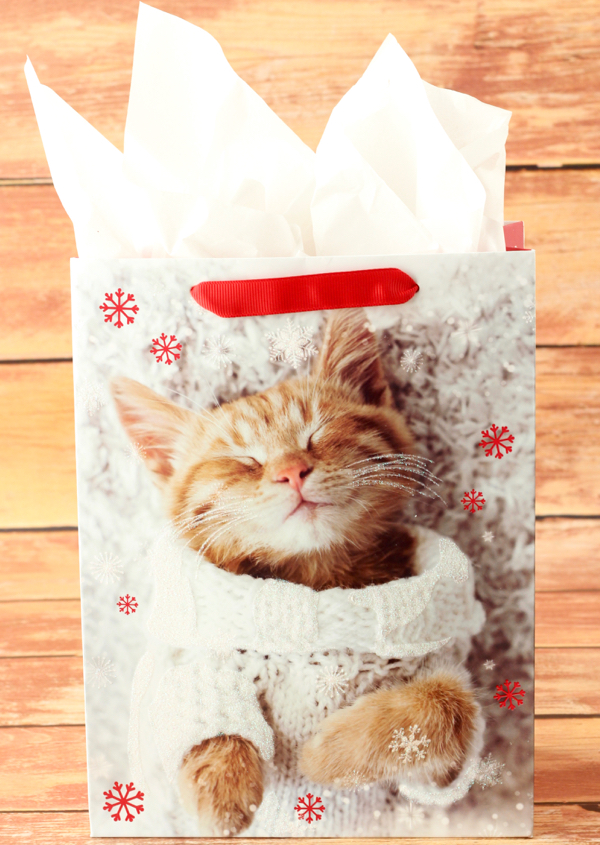 Cat Lover Gifts Gift Ideas