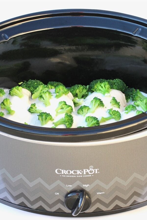 Cooked chicken broccoli alfredo in slow cooker.