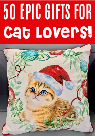 Christmas Gift Ideas for Friends and Family - Women or a Teenage Girl will LOVE these Cat Lover Gift Ideas
