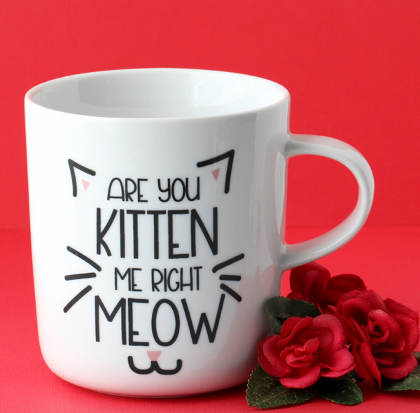Quirky Gifts for Crazy Cat Lovers! {Santa Claws Approved}