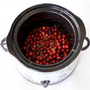 Easy Crockpot Cranberry Sauce Recipe Slow Cooker