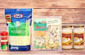 Alfredo, tortellini, mozzarella, and garlic powder.