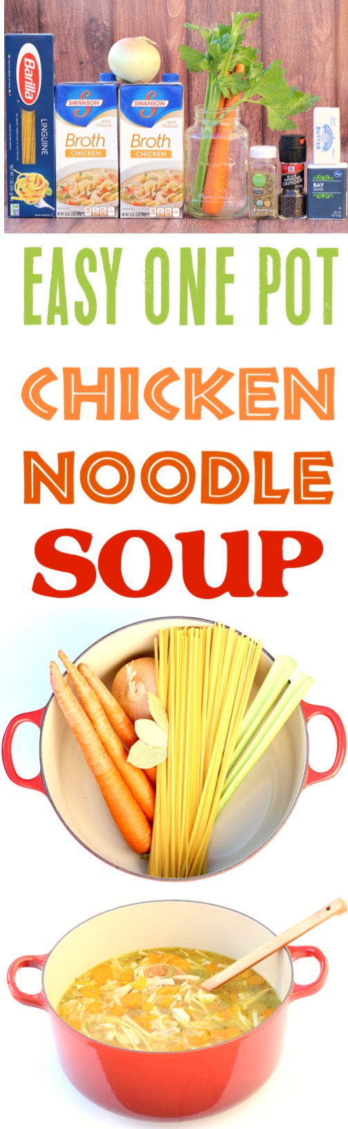 Chicken Noodle Soup Easy Homemade Recipe