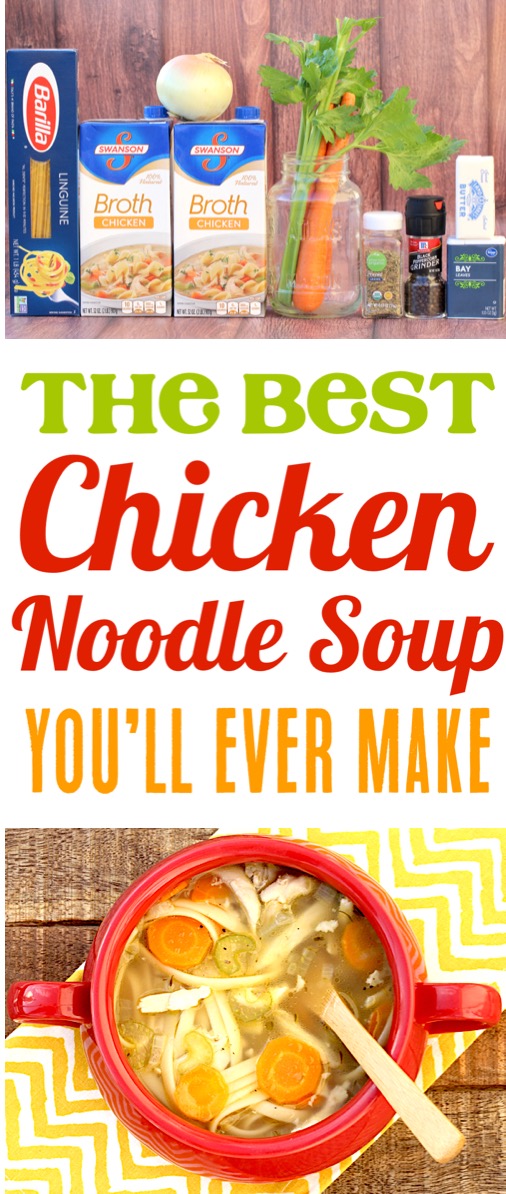 Homemade Chicken Noodle Soup Easy Healthy Recipe Using a Rotisserie Chicken