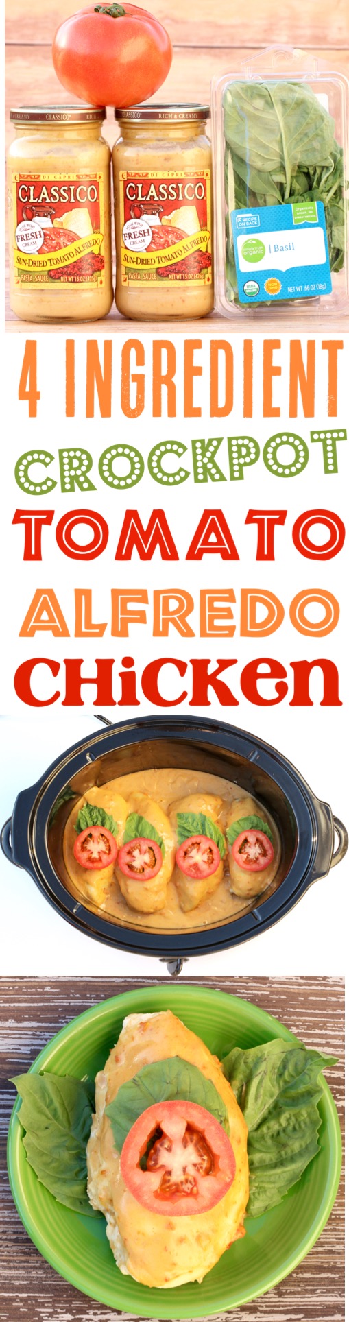Crockpot Alfredo Chicken Easy Tomato Basil Slow Cooker Alfredo