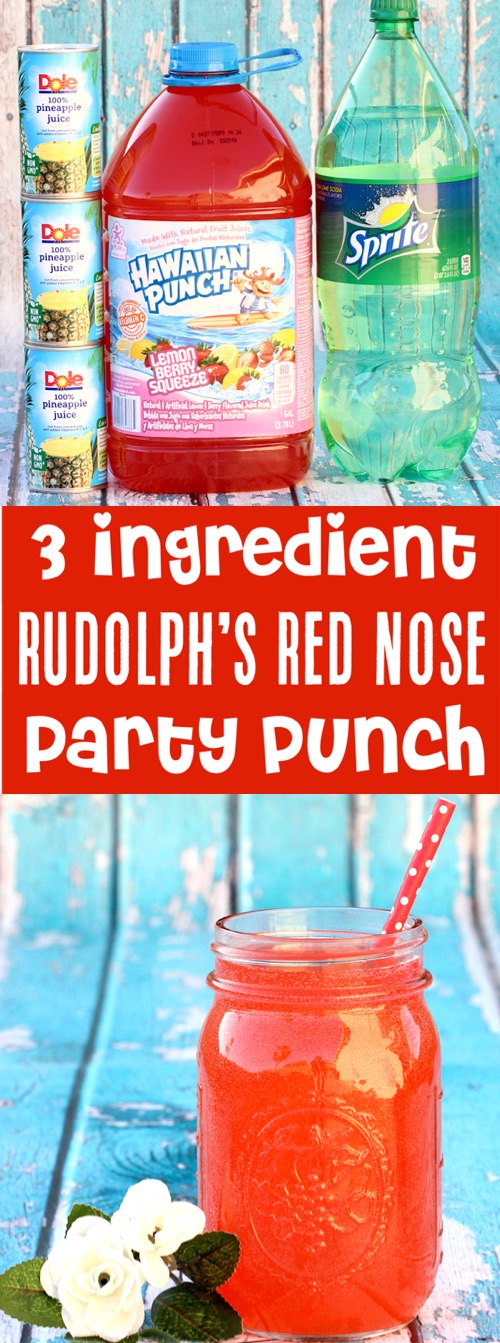 Party Punch Recipes Kids Christmas Drink