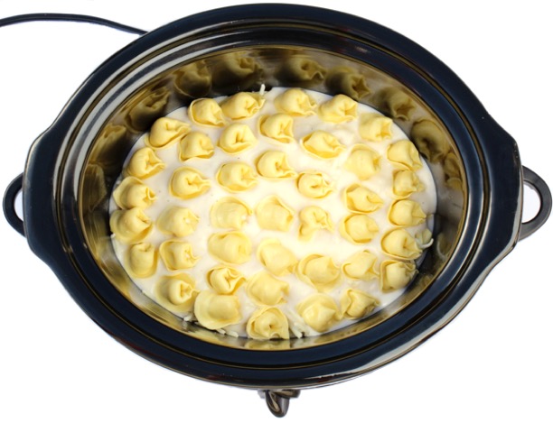 https://thefrugalgirls.com/wp-content/uploads/2018/04/Easy-Crockpot-Alfredo-Tortellini-Recipe-Italian-Comfort-Food.jpg