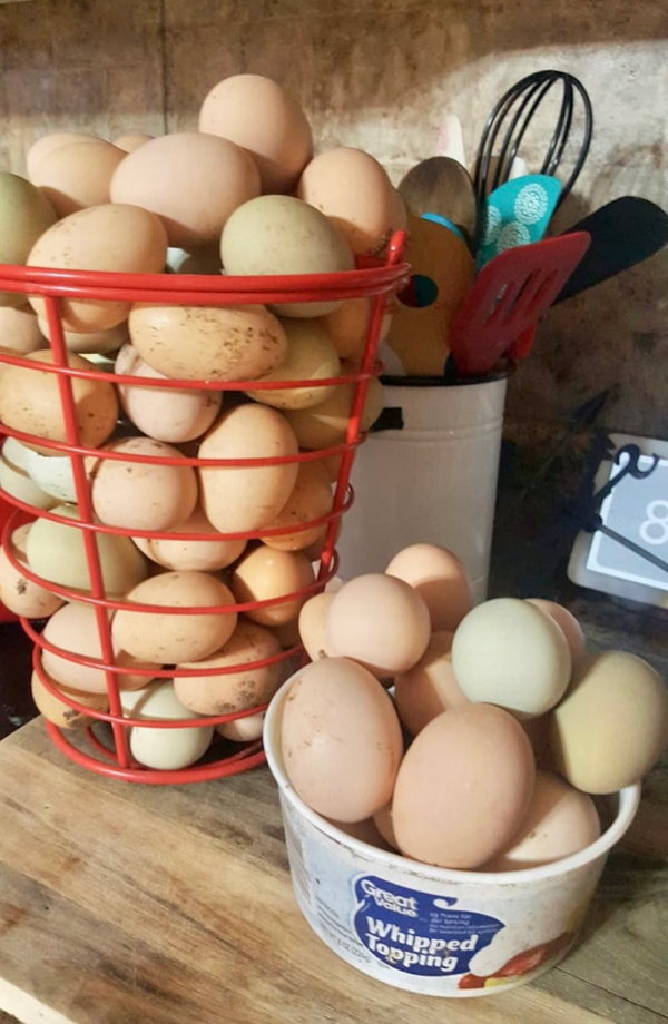 How to Use up Fresh Eggs