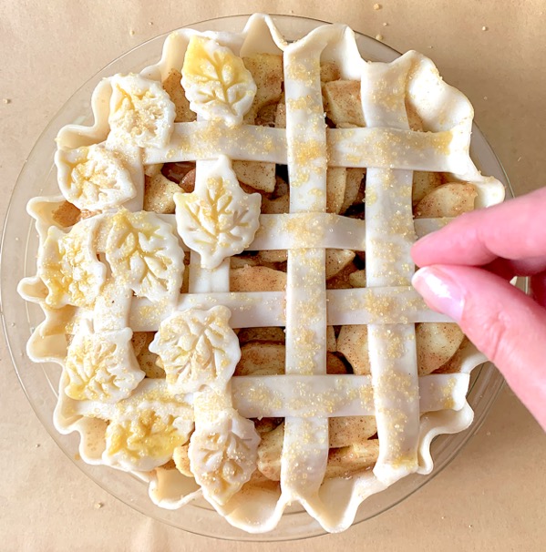 Homemade Apple Pie Recipe Easy