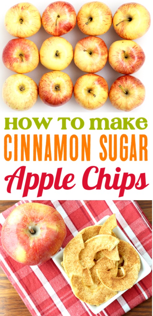 Apple Chips Cinnamon Sugar Dehydrated Healthy Snack Recipe