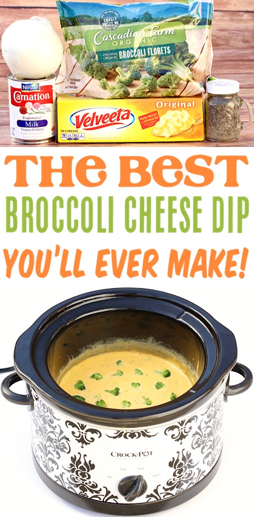 Broccoli Cheese Soup Dip Easy Crockpot Recipe