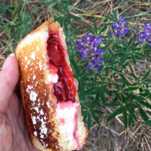 Person holding a strawberry campfire pie in front of purple flowers.